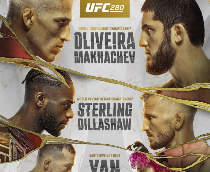 UFC 313 Fight Card: A Community Guide to the Upcoming Event